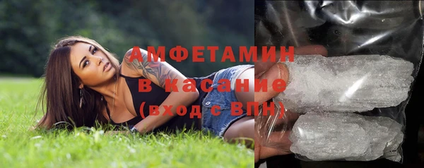 прущие грибы Мегион