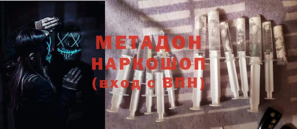 прущие грибы Мегион