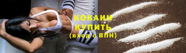 прущие грибы Мегион