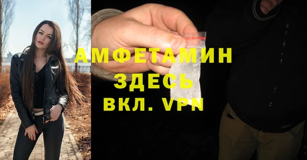 прущие грибы Мегион