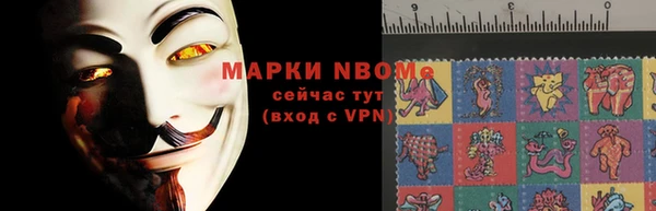 прущие грибы Мегион