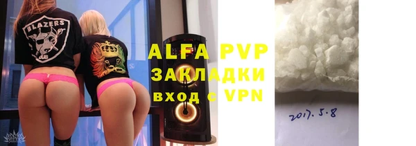 прущие грибы Мегион