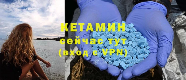 прущие грибы Мегион