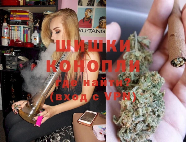 прущие грибы Мегион